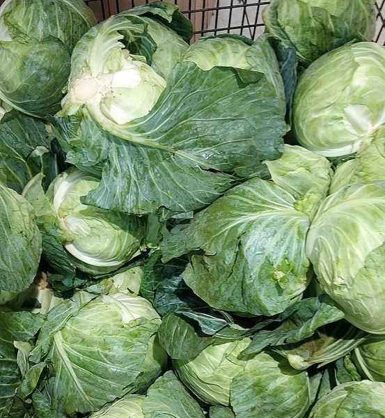 包菜：成堆的包菜（结球甘蓝）