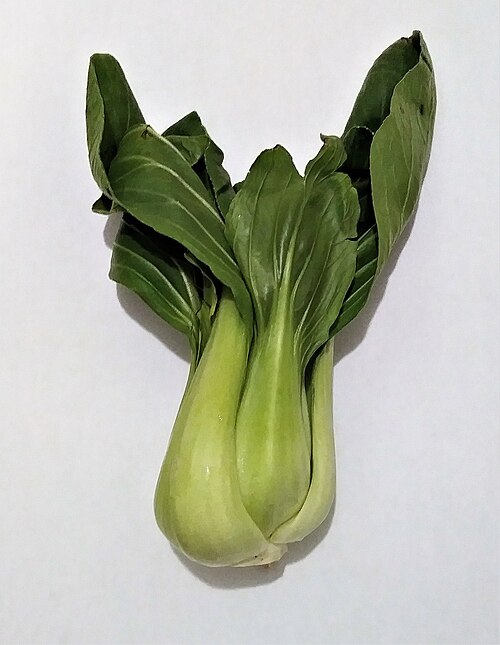 青菜:青梗小白菜,完整植株,未烹调